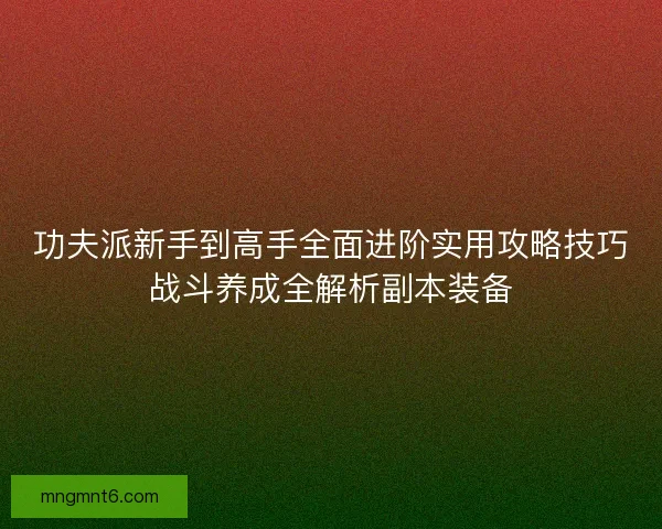 功夫派新手到高手全面进阶实用攻略技巧战斗养成全解析副本装备